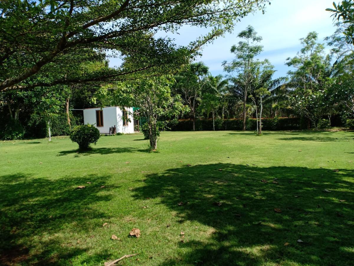 Mem Homestay 춤폰 외부 사진