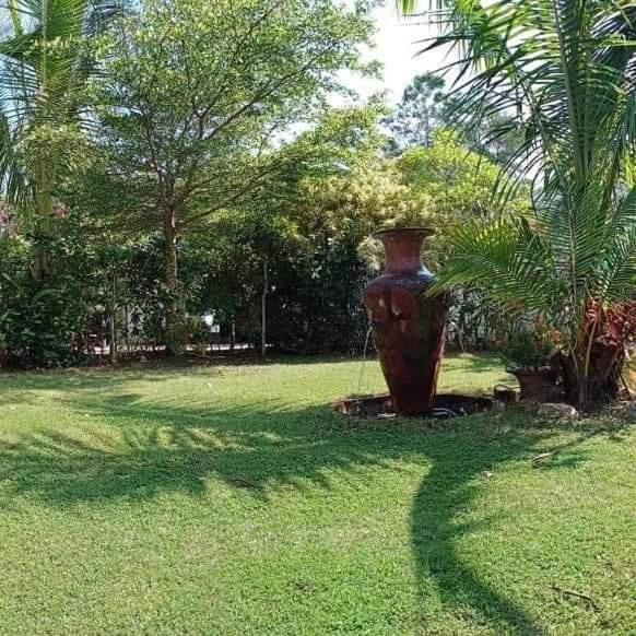 Mem Homestay 춤폰 외부 사진