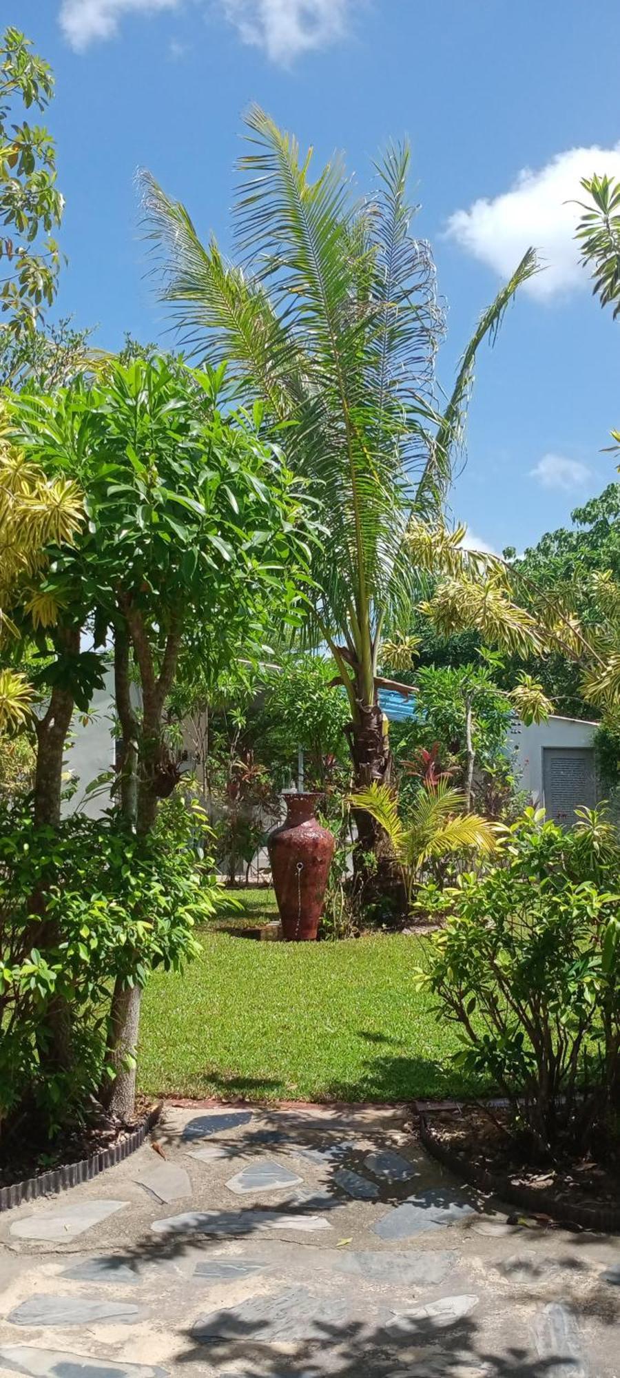 Mem Homestay 춤폰 외부 사진